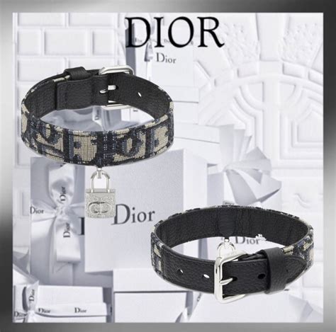 collar de christian dior|Dior dog accessories.